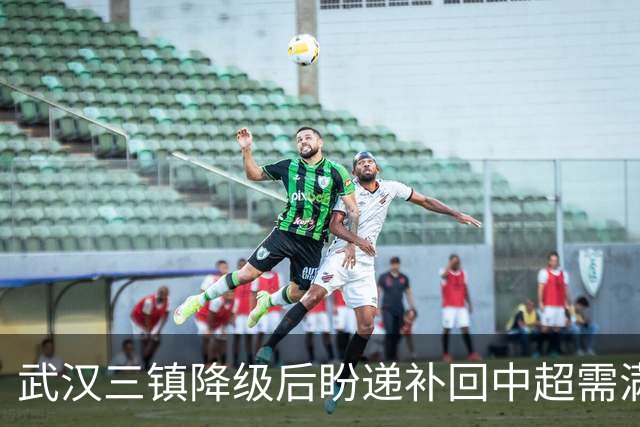 武汉三镇降级后盼递补回中超需满足三条件