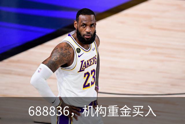 688836,机构重金买入